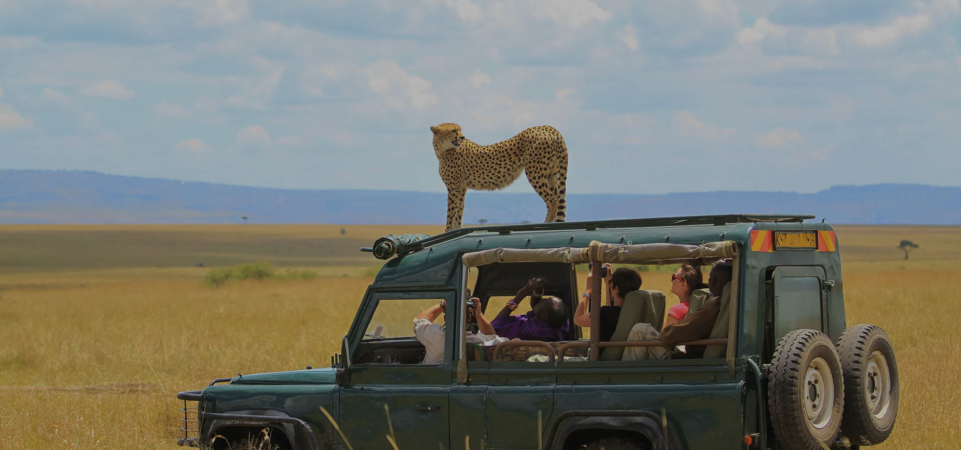 Millieninum Tours Travel